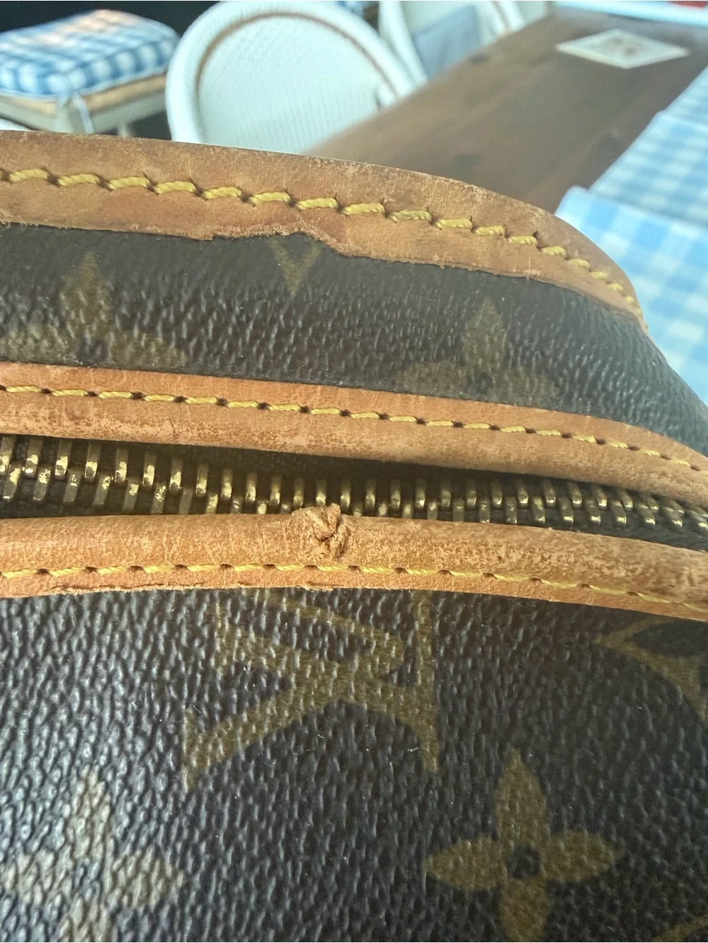 Vintage Louis Vuitton Sac Chien 40 Monogram Pet Carrier.
